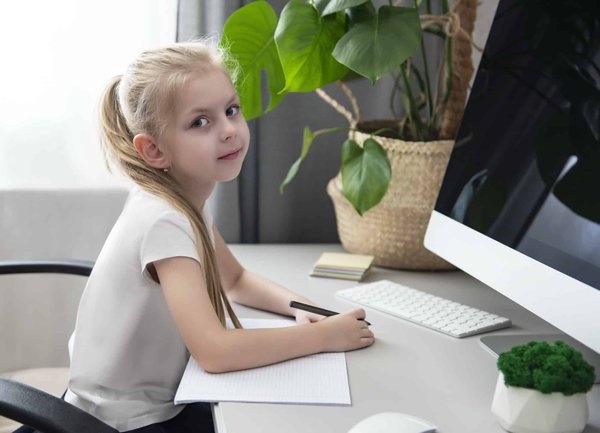 Quelles sont les méthodes d'éducation positive pour les chiens ayant des comportements destructeurs?