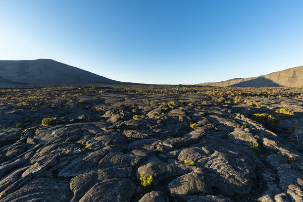 Comment préparer un enclos adapté à l'hivernage d'une tortue marginée dans un jardin européen?